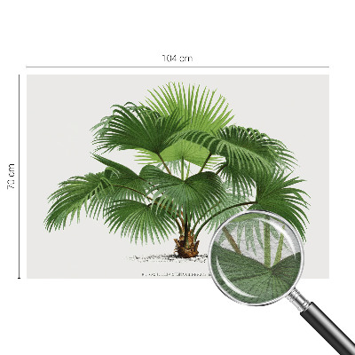 Mural de pared con estampado hermoso con motivo de palmera exótica