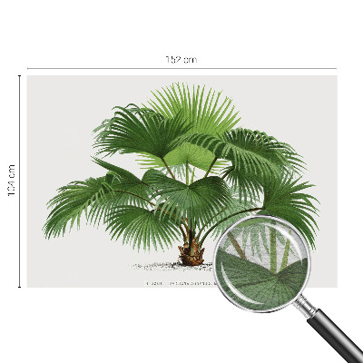 Mural de pared con estampado hermoso con motivo de palmera exótica