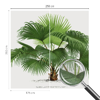 Mural de pared con estampado hermoso con motivo de palmera exótica