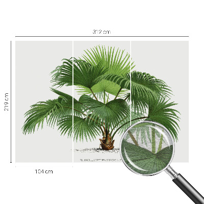 Mural de pared con estampado hermoso con motivo de palmera exótica