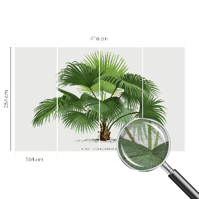 Mural de pared con estampado hermoso con motivo de palmera exótica