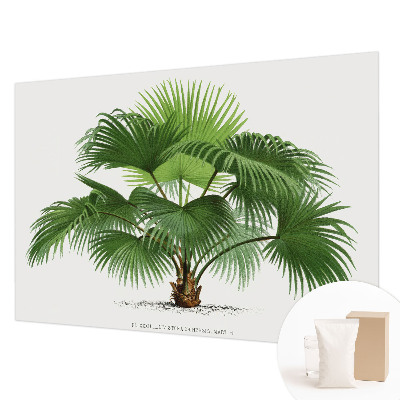 Mural de pared con estampado hermoso con motivo de palmera exótica