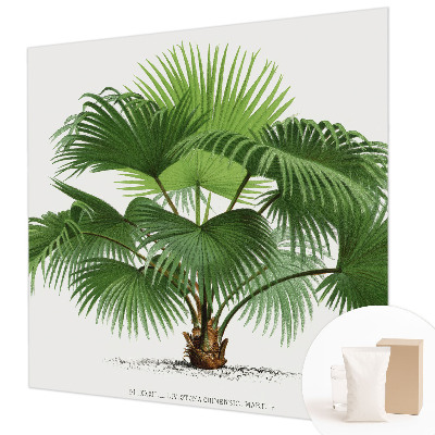 Mural de pared con estampado hermoso con motivo de palmera exótica