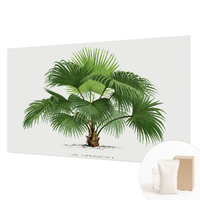 Mural de pared con estampado hermoso con motivo de palmera exótica