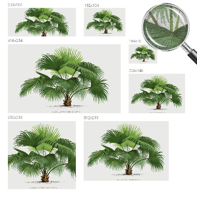 Mural de pared con estampado hermoso con motivo de palmera exótica