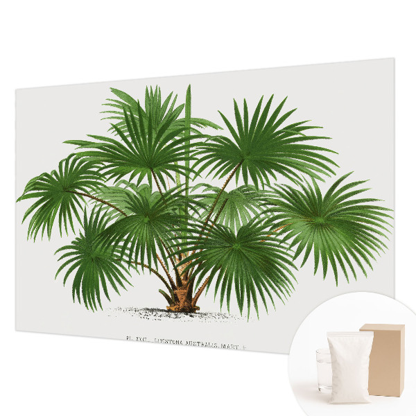 Papel mural texturado decorativo con un patrón exótico