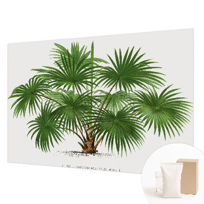 Papel mural texturado decorativo con un patrón exótico