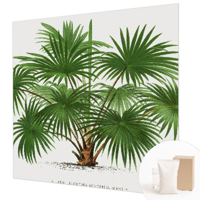 Papel mural texturado decorativo con un patrón exótico
