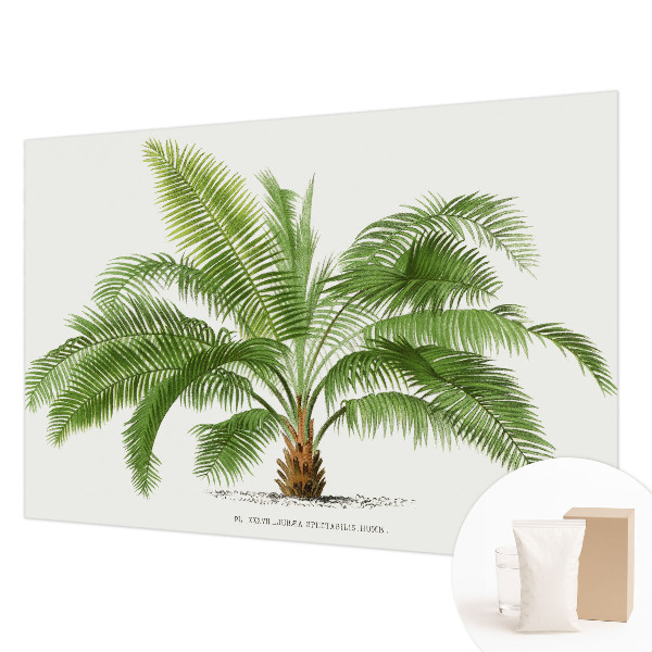 Mural decorativo con diseño de palmera brillante