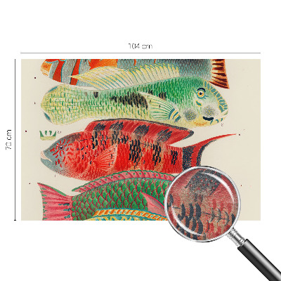 Fotomural decorativo para cabecero de cama con diseño de peces exóticos