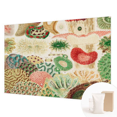 Papel mural con patrón decorativo con formas orgánicas