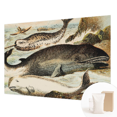Papel mural con patrón decorativo con motivos de gigantes marinos