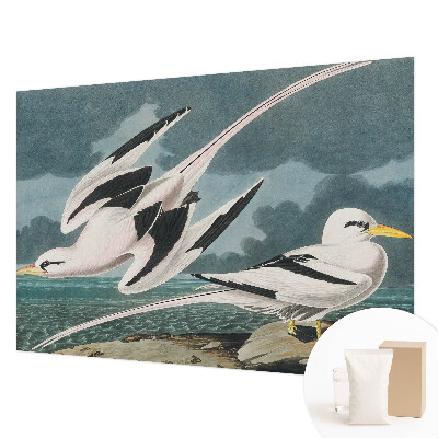 Papel mural con patrón decorativo con un motivo de pájaros junto al mar