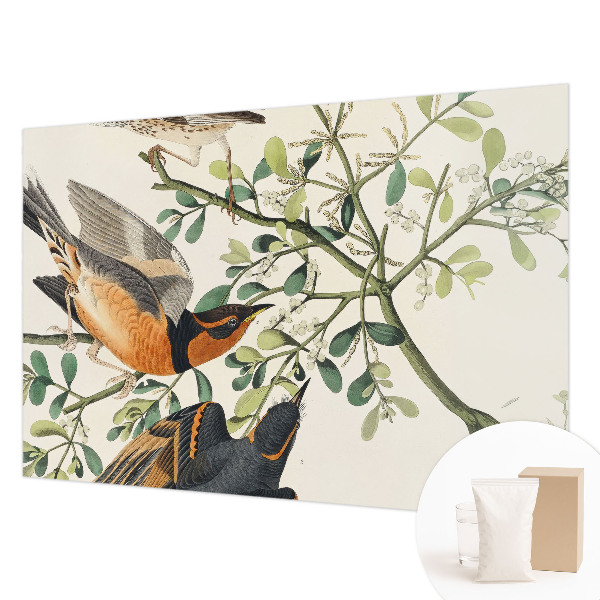 Fotomural decorativo para cabecero de cama con pájaros coloridos