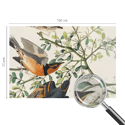 Fotomural decorativo para cabecero de cama con pájaros coloridos