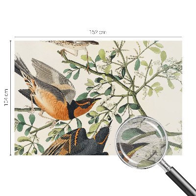 Fotomural decorativo para cabecero de cama con pájaros coloridos