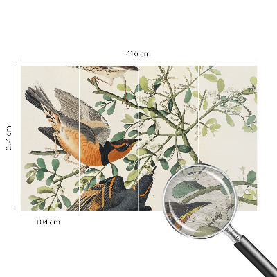 Fotomural decorativo para cabecero de cama con pájaros coloridos