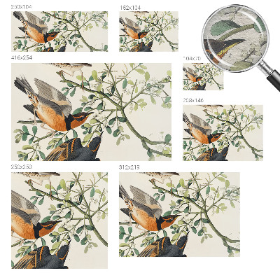 Fotomural decorativo para cabecero de cama con pájaros coloridos