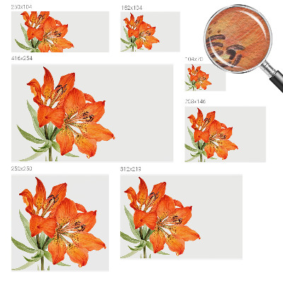 Mural decorativo con diseño de lirio naranja