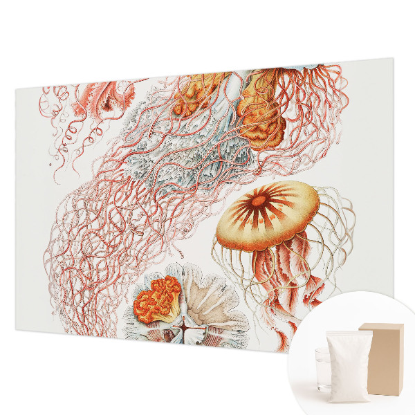 Fotomural decorativo para cabecero de cama con diseño de medusas elegantes
