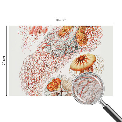 Fotomural decorativo para cabecero de cama con diseño de medusas elegantes