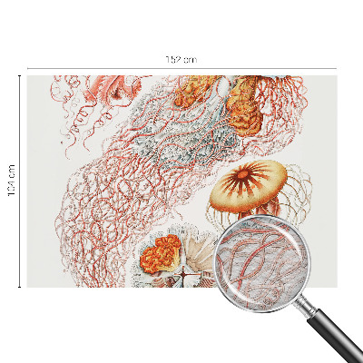 Fotomural decorativo para cabecero de cama con diseño de medusas elegantes