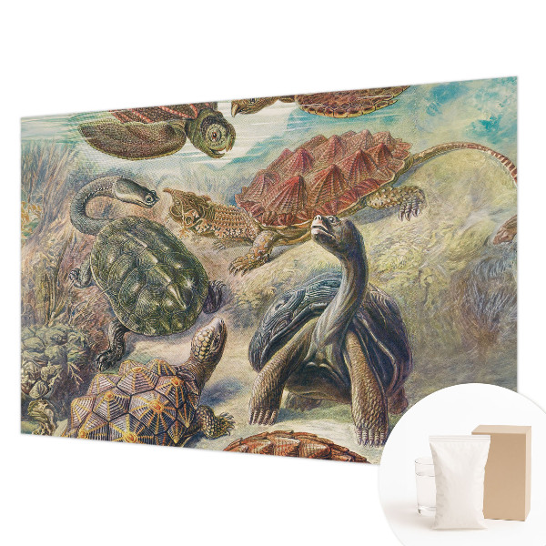 Mural de pared con estampado hermoso con motivo de fauna de tortugas