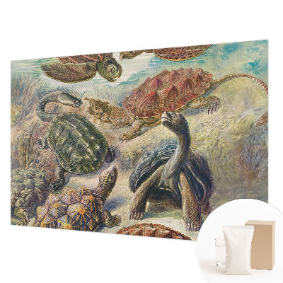 Mural de pared con estampado hermoso con motivo de fauna de tortugas