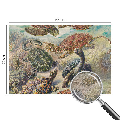 Mural de pared con estampado hermoso con motivo de fauna de tortugas