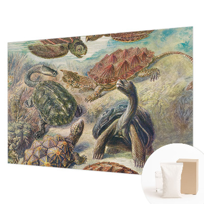 Mural de pared con estampado hermoso con motivo de fauna de tortugas
