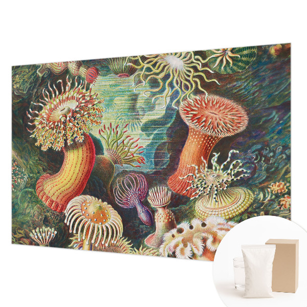 Papel mural texturado decorativo con diseño de anémonas elegantes