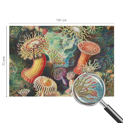 Papel mural texturado decorativo con diseño de anémonas elegantes