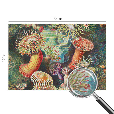 Papel mural texturado decorativo con diseño de anémonas elegantes