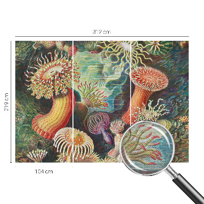 Papel mural texturado decorativo con diseño de anémonas elegantes