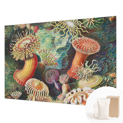 Papel mural texturado decorativo con diseño de anémonas elegantes