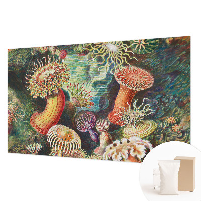 Papel mural texturado decorativo con diseño de anémonas elegantes