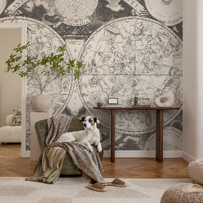 Papel mural con patrón decorativo con diseño de mapa estelar