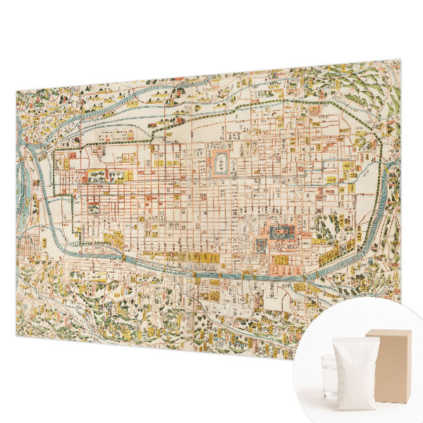 Mural de pared con estampado hermoso con diseño de mapa antiguo