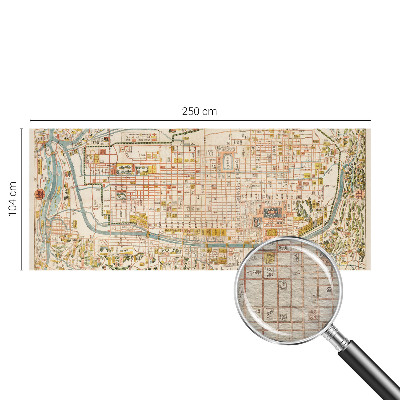Mural de pared con estampado hermoso con diseño de mapa antiguo