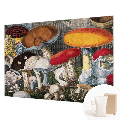 Mural de pared con estampado hermoso con un diseño de hongos botánicos
