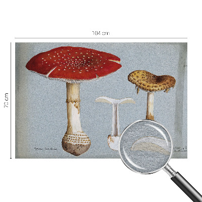 Fotomural decorativo para cabecero de cama con grabados de setas