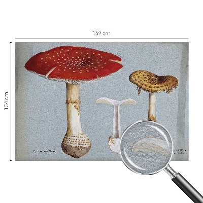 Fotomural decorativo para cabecero de cama con grabados de setas