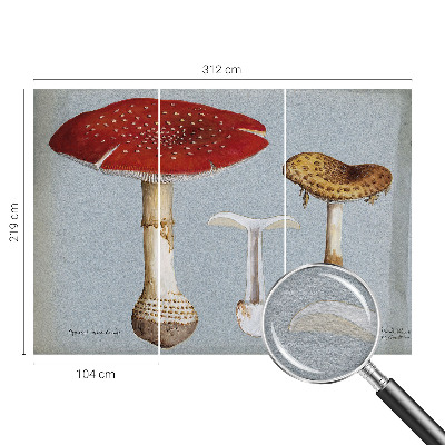 Fotomural decorativo para cabecero de cama con grabados de setas