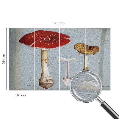 Fotomural decorativo para cabecero de cama con grabados de setas