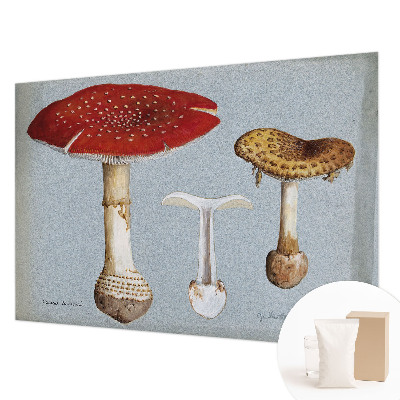 Fotomural decorativo para cabecero de cama con grabados de setas