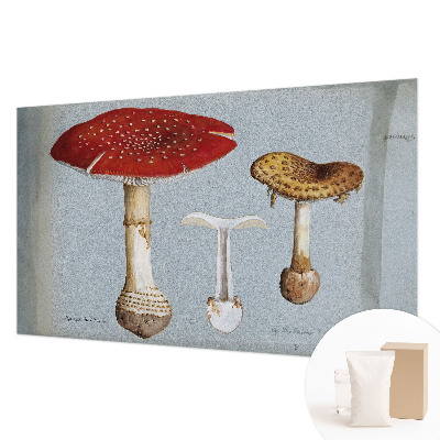 Fotomural decorativo para cabecero de cama con grabados de setas