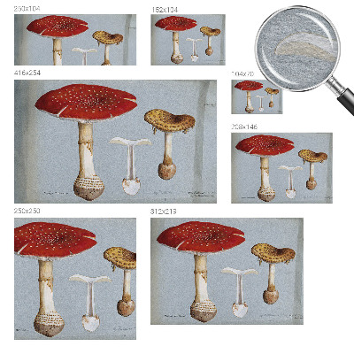 Fotomural decorativo para cabecero de cama con grabados de setas