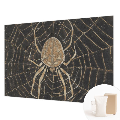 Papel mural texturado decorativo con diseño de telaraña