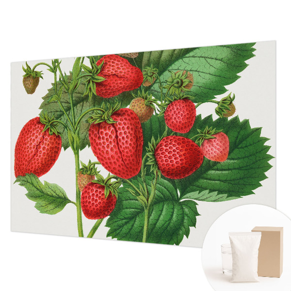 Papel mural con patrón decorativo con motivo de frutas de verano