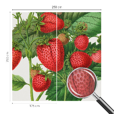 Papel mural con patrón decorativo con motivo de frutas de verano